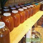 Продаю мед пчелиный,  натуральный,  урожая 2011 год