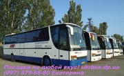 Пассажирские перевозки автобусами,  микроавтобусами и мини-венами