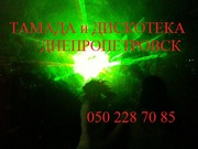 Тамада и музыка на свадьбу Днепропетровск 050 228 70 85