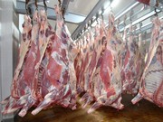 Говядина,  свинина полутуши от производителя 1, 2 категории