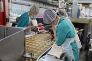 Рабочие на производство и упаковку вафель в Польшу