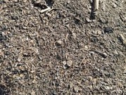 Куплю деловые отходы подсолнечника, рапса. Скупка сора.