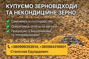 Закупівля некондиційного зерна і відходів зернових,  олійних,  бобових 
