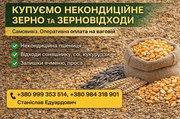 Куплю зерновідходи,  некондицію та побічну агропродукцію